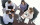domaines juridiques ACCORD & MEDIATION, droit  famille pénal travail, conseils expert médiation